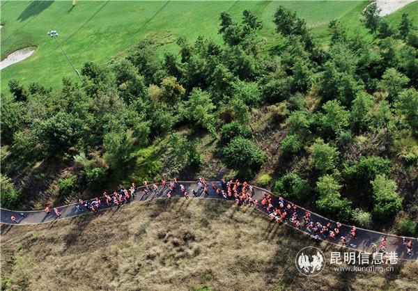 圖片由主辦方提供。2