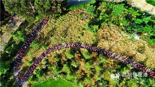 圖片由主辦方提供。3 (1)