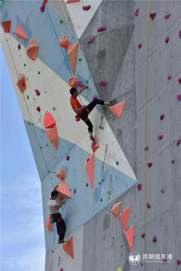 圖片由主辦方提供。4