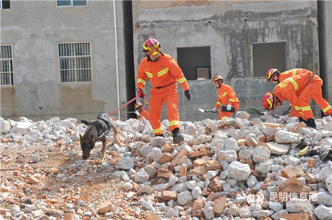 現(xiàn)場(chǎng)搜救。