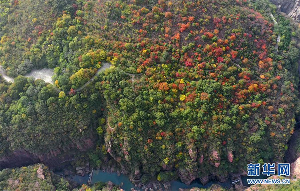 1125164084_15723064439461n