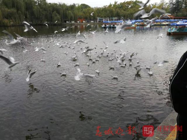 20191029120038291RTWm