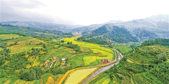 2019103001_res03_attpic_brief