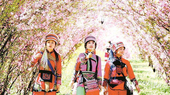 圖說：云南旅游資源豐富。