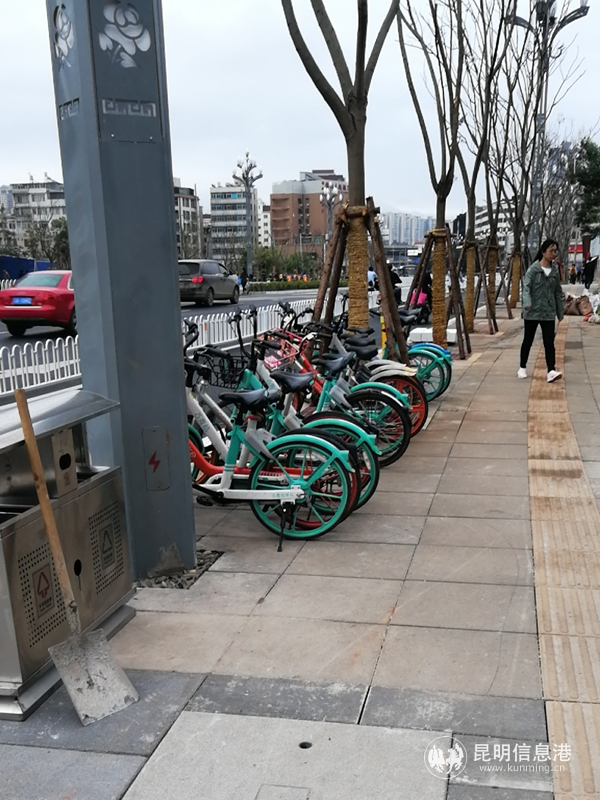 曙光社區(qū)將共享單車工作人員一并納入到網(wǎng)格之中_副本