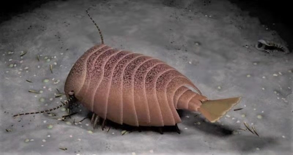 捕獵殺手1 捕獵殺手1