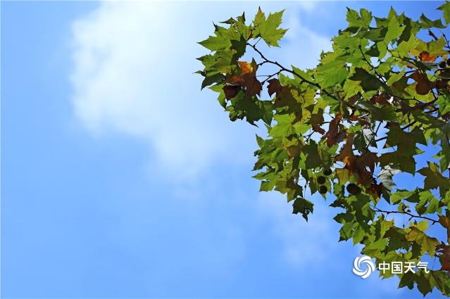 20191031114316AUSCGGm 20191031114316AUSCGGm