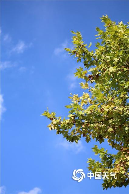 2019103111431627R226m 2019103111431627R226m