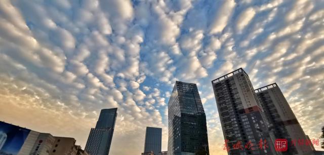 20191029095101D1PQL0m 20191029095101D1PQL0m