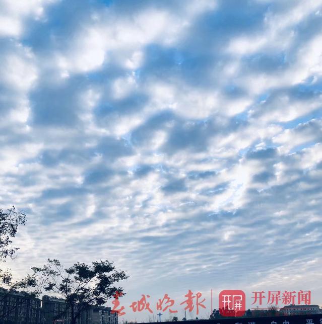 2019102909471089FJMLm 2019102909471089FJMLm