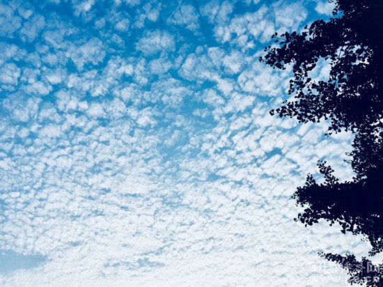 防曬霜的那些使用誤區(qū)了解一下