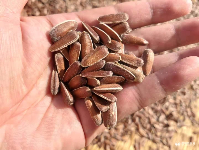 c0eec64f228e6a2ca6352e9eebff5d2 c0eec64f228e6a2ca6352e9eebff5d2