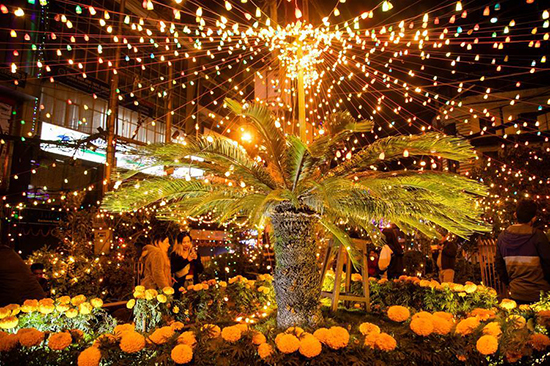 1210334618_15724838902671n (1) 1210334618_15724838902671n (1)