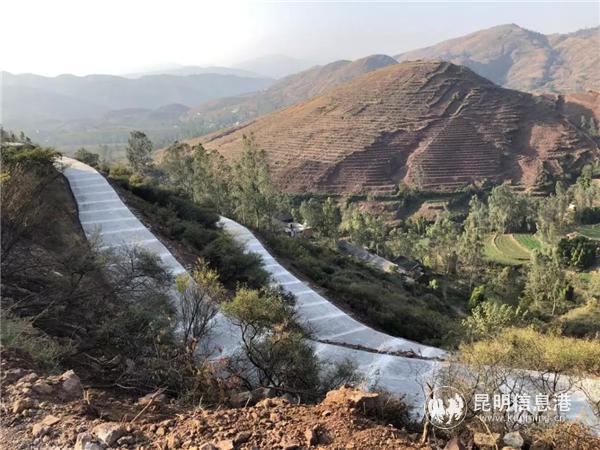 牛泥塘村的“石榴產業(yè)路”  供圖.webp