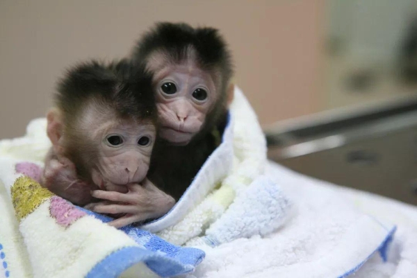 1175895735 1175895735