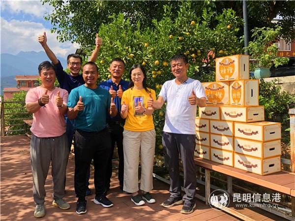 2019年褚橙11月5日開園采摘。褚氏農(nóng)業(yè)供圖