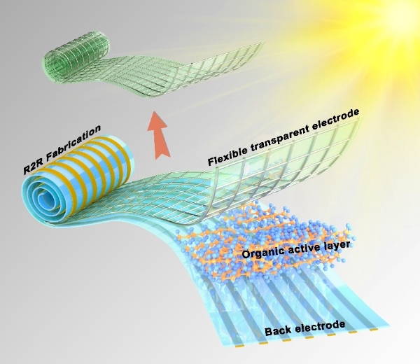 柔性透明電極與柔性有機太陽能電池的示意圖（圖片由南開大學提供）