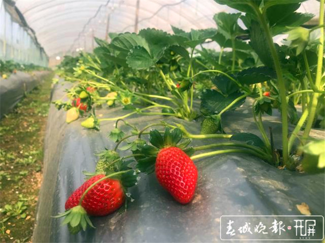 201911071723500RQNJGm3 201911071723500RQNJGm3