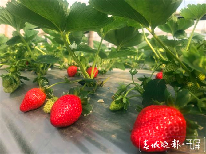 201911071723564WVNNPm4 201911071723564WVNNPm4