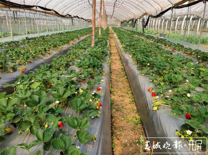 201911071723509N5NBWm5 201911071723509N5NBWm5