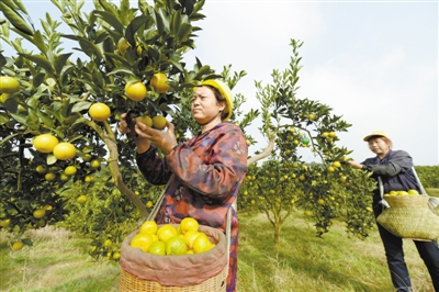 112820_zhangjy_1573134597983_b 112820_zhangjy_1573134597983_b