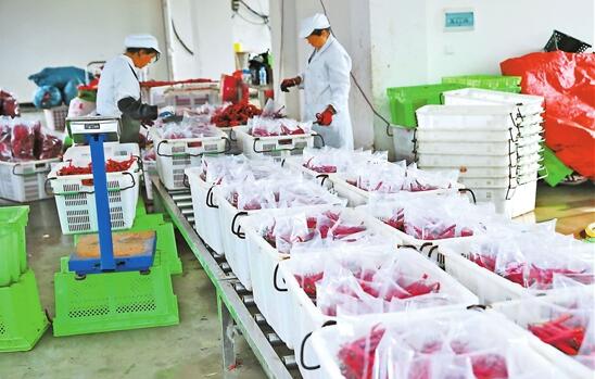 QQ截圖201911110803143