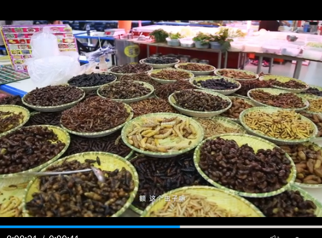 點(diǎn)擊觀看視頻 點(diǎn)擊觀看視頻