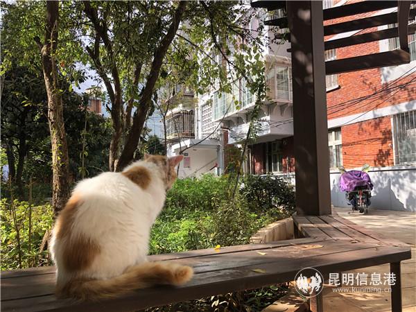 3E2E114B618D277D2138C32D408584FF 3E2E114B618D277D2138C32D408584FF