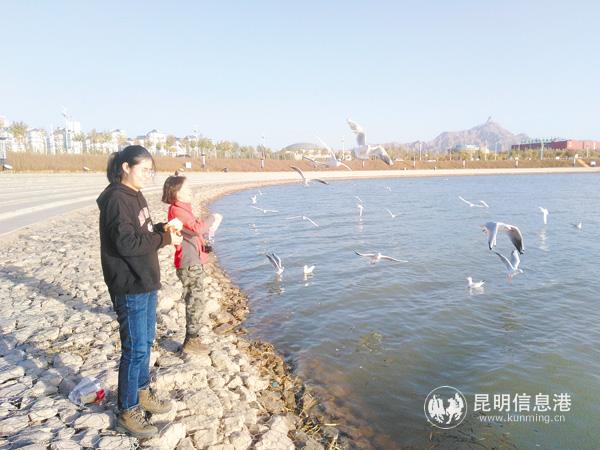 微信圖片_20191112205204