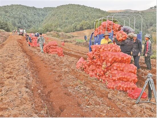 QQ截圖201911130840174 QQ截圖201911130840174