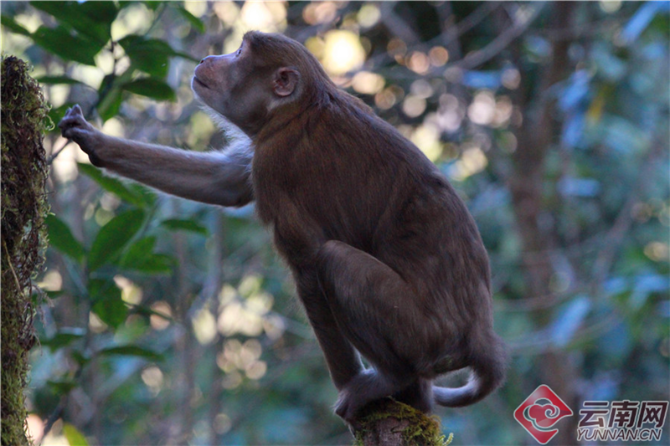 00301204663_cdefc12c1 00301204663_cdefc12c1