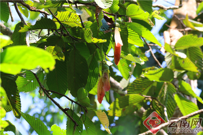 00301204661_cbb8eae73 00301204661_cbb8eae73