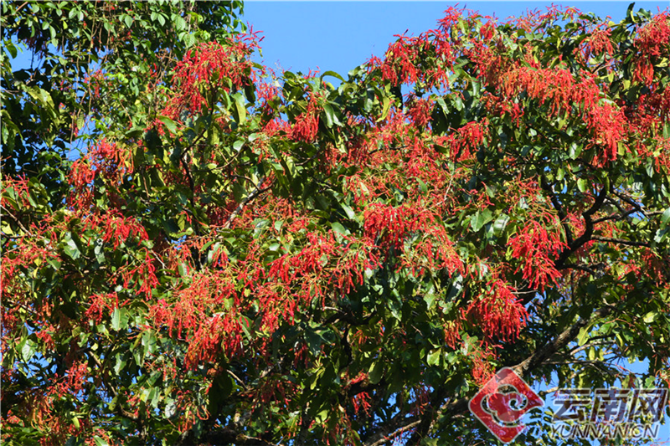 00301204660_73161ed94 00301204660_73161ed94