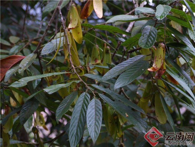 00301204659_89993e1b5 00301204659_89993e1b5