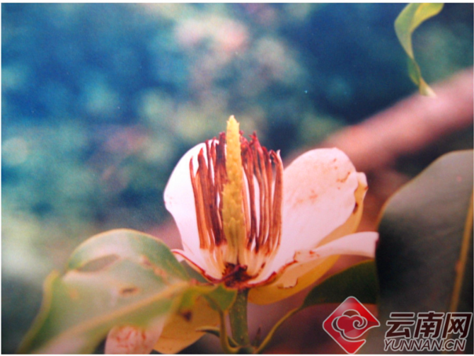 00301204658_f1acbbca6 00301204658_f1acbbca6