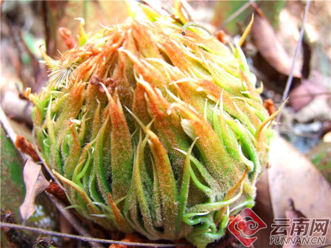 00301204657_a9b6bda57 00301204657_a9b6bda57