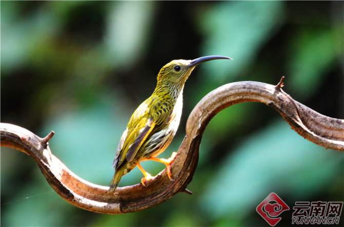 00301204654_c64909e910 00301204654_c64909e910