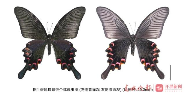 201911131323165DQSTEm