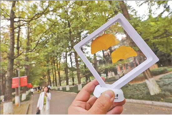 QQ截圖201911140837346