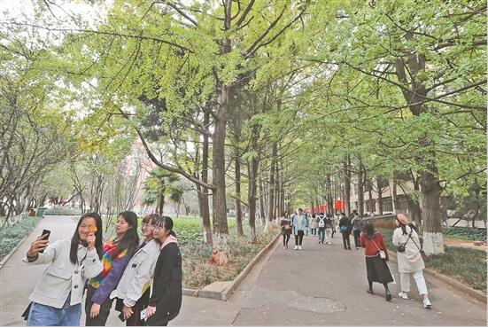 QQ截圖201911140837537