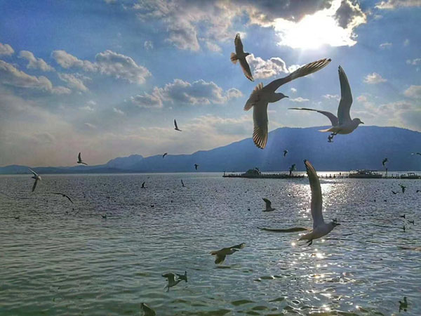 NEM0_20191113_C0362320090_A951625_content NEM0_20191113_C0362320090_A951625_content