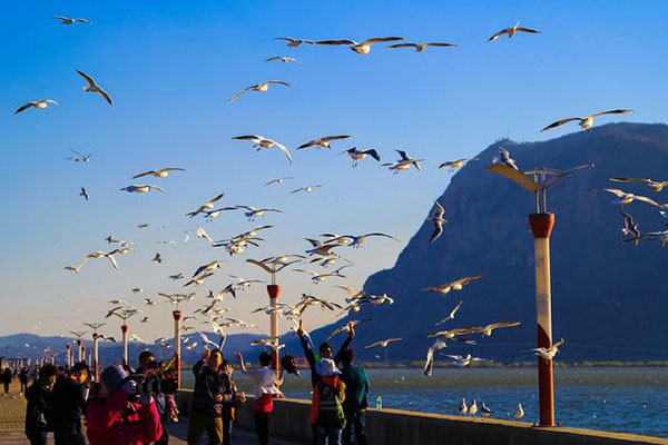 NEM0_20191113_C0362320090_A951626_content NEM0_20191113_C0362320090_A951626_content