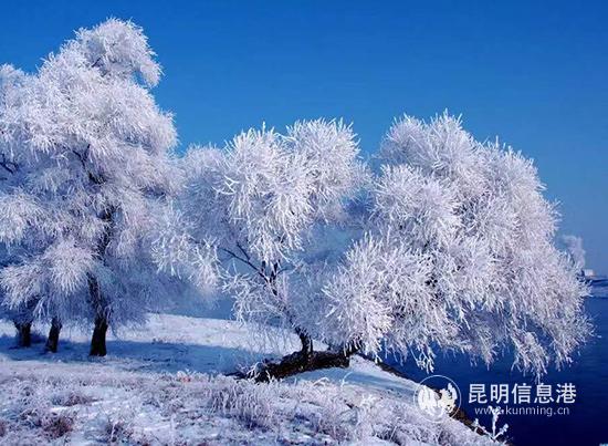 微信圖片_20191116225848 微信圖片_20191116225848