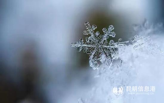 微信圖片_20191116225907 微信圖片_20191116225907