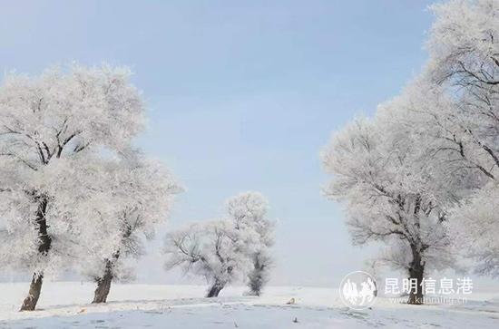 微信圖片_20191116225855 微信圖片_20191116225855