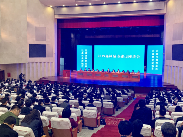 森林城市1 森林城市1