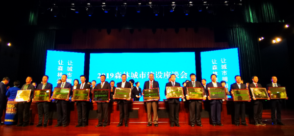 森林城市2 森林城市2