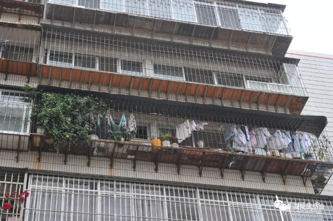 微信圖片_20191119082237