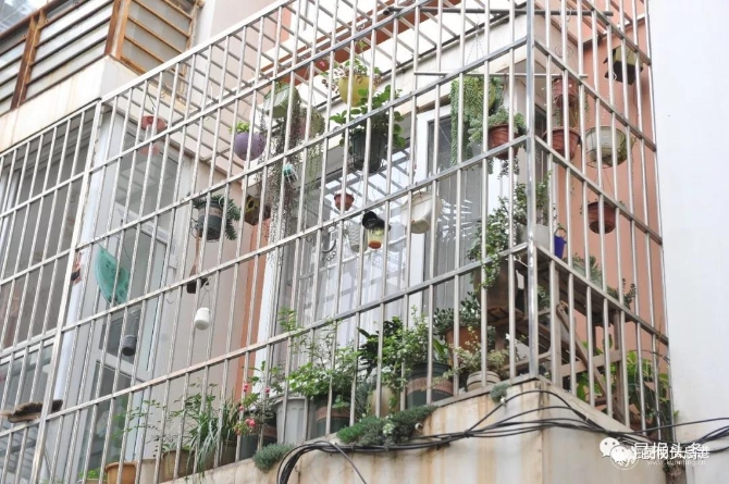 微信圖片_20191119082314