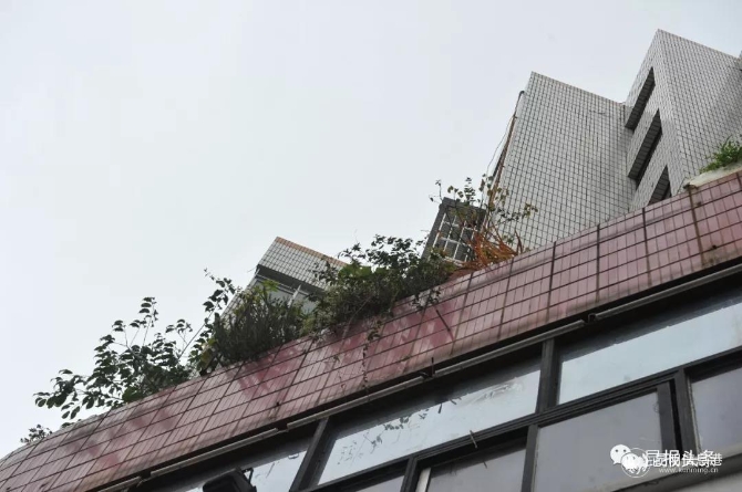 微信圖片_20191119082334